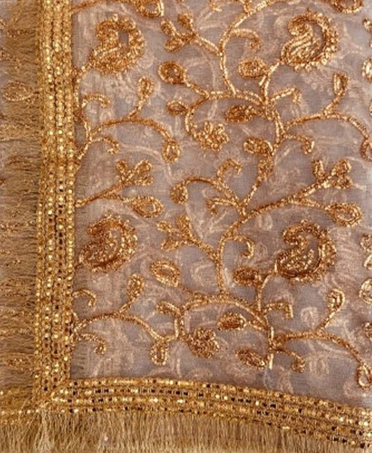 Banno _ Beige _Net_dupatta