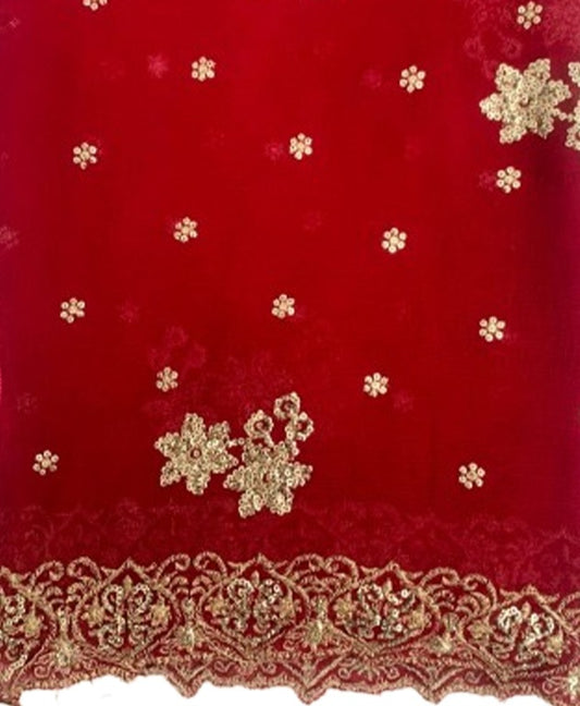 Chambeeli_ Pinkish Red _ Crinkle Chiffon _dupatta