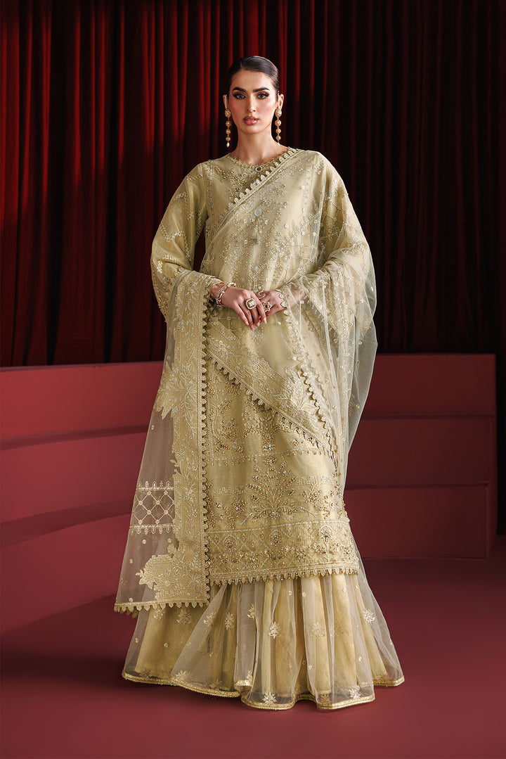 Sophia- Embroidered Net Suit - 3 PC