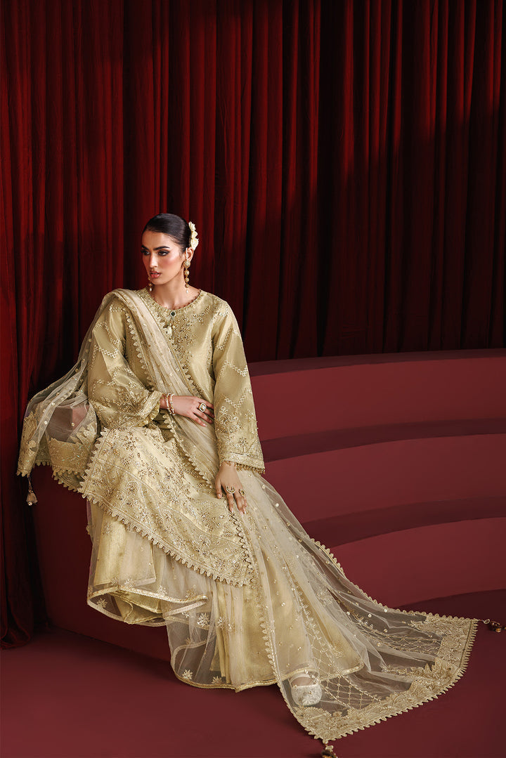 Sophia- Embroidered Net Suit - 3 PC
