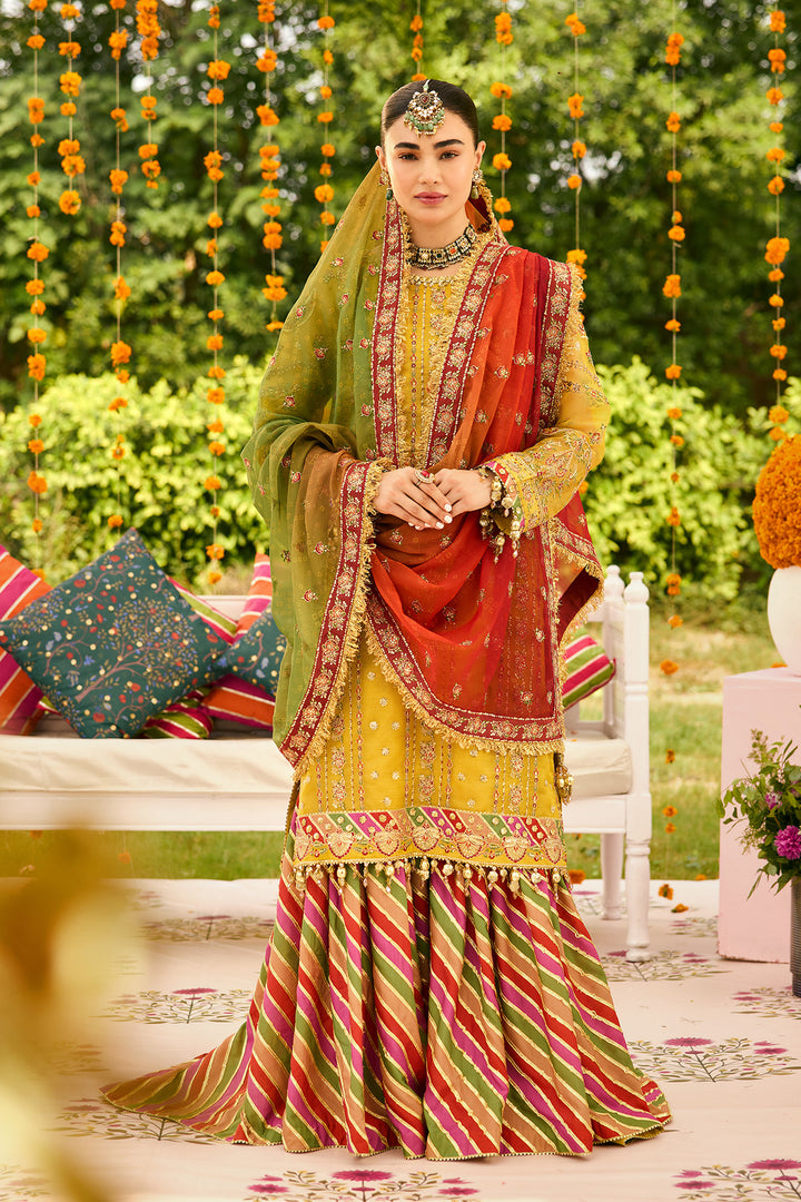 Zarposh- Embroidered Zari Net Suit- 3PC
