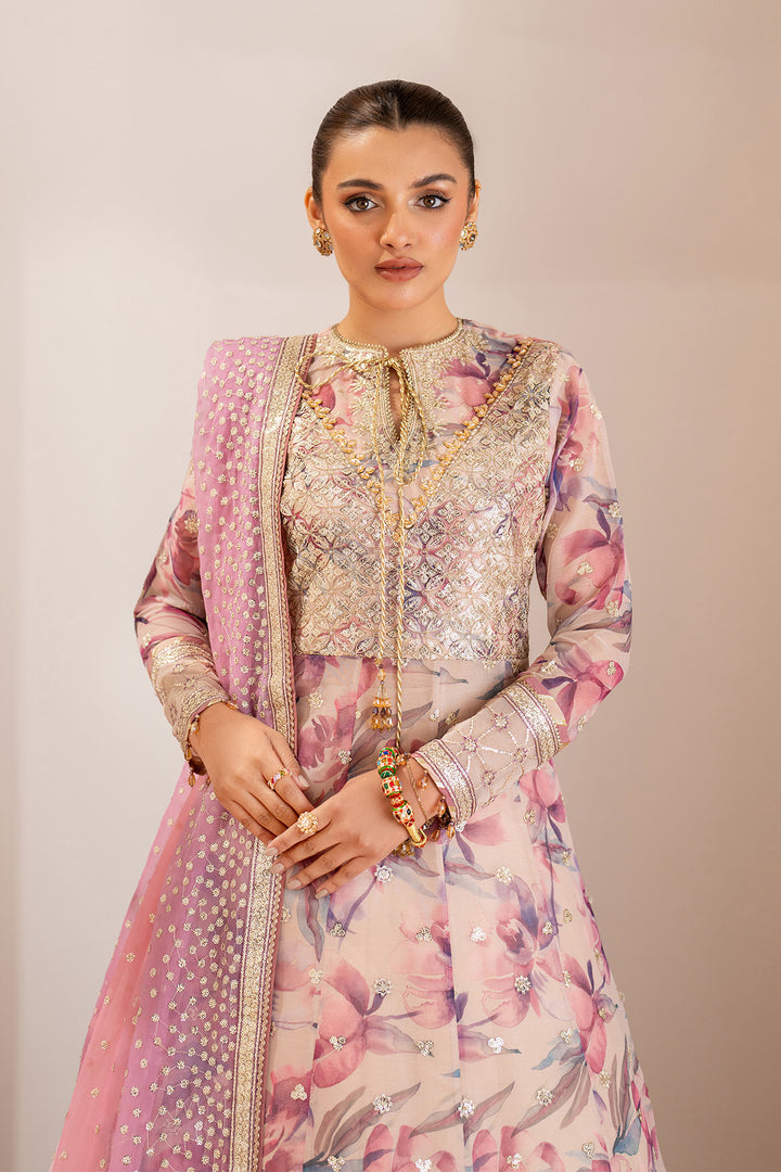 Dina - Embroidered Chiffon Suit - 3PC