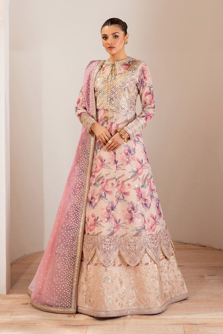 Dina - Embroidered Chiffon Suit - 3PC