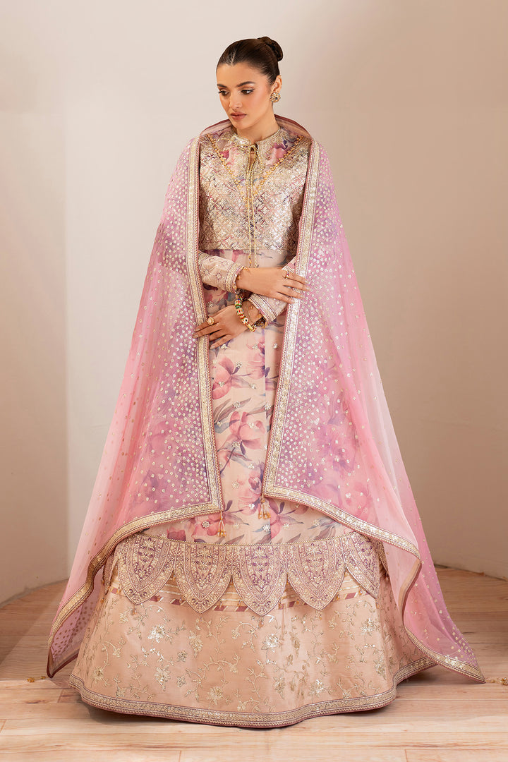 Dina - Embroidered Chiffon Suit - 3PC