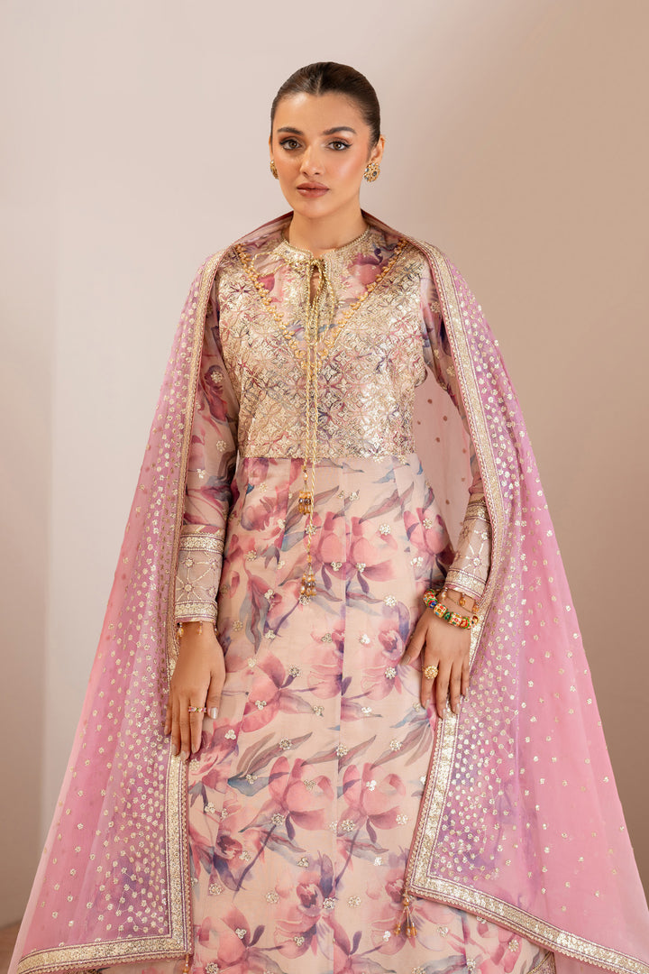 Dina - Embroidered Chiffon Suit - 3PC
