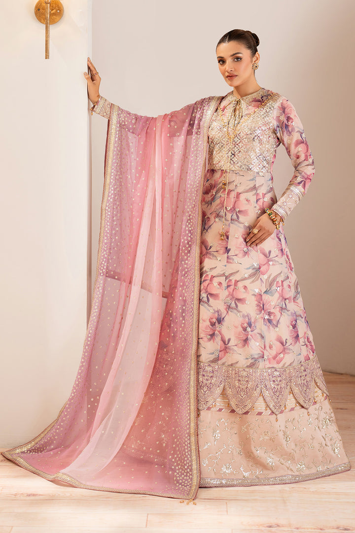 Dina - Embroidered Chiffon Suit - 3PC