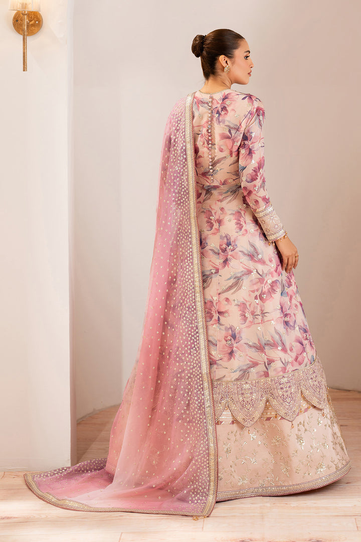 Dina - Embroidered Chiffon Suit - 3PC