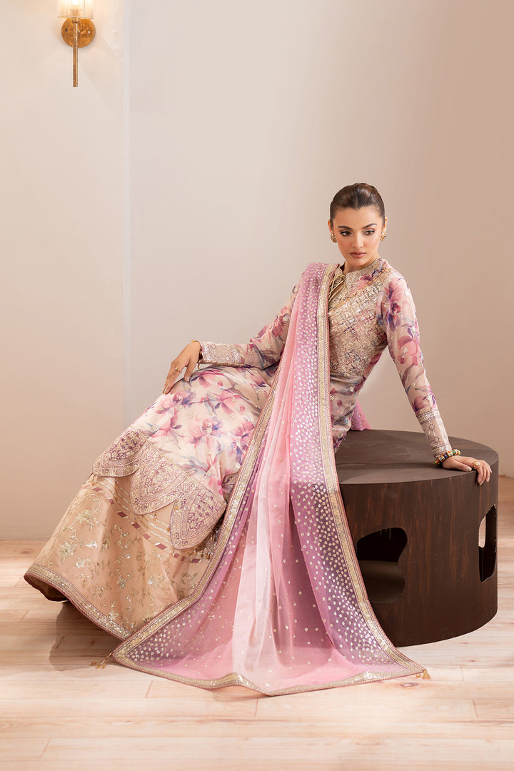 Dina - Embroidered Chiffon Suit - 3PC