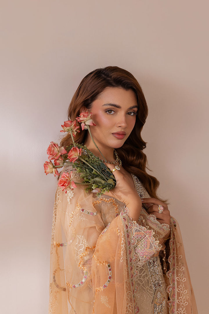 Maya - Chiffon Embroidered Suit -3PC